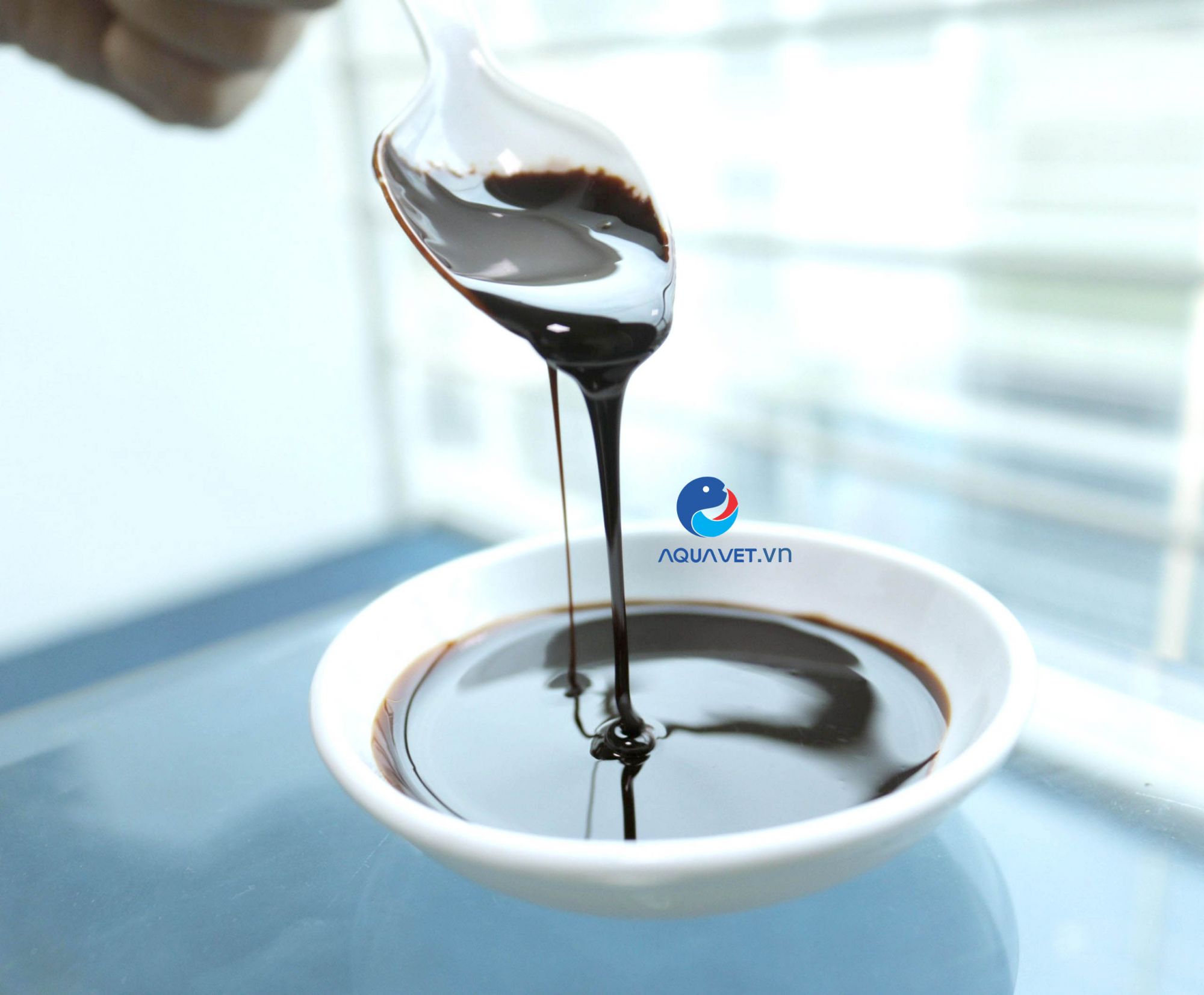 Mật rỉ đường