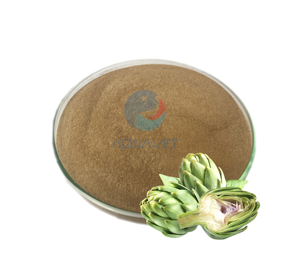 CAO ATISO - Chống Oxy Hóa, Giải Độc Gan