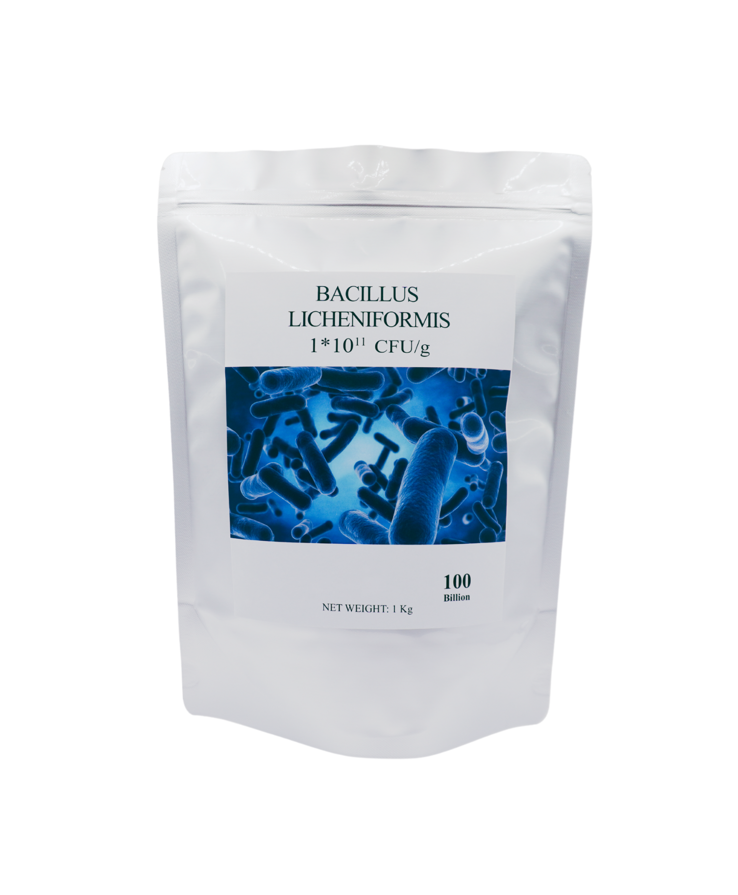 Bacillus Licheniformis