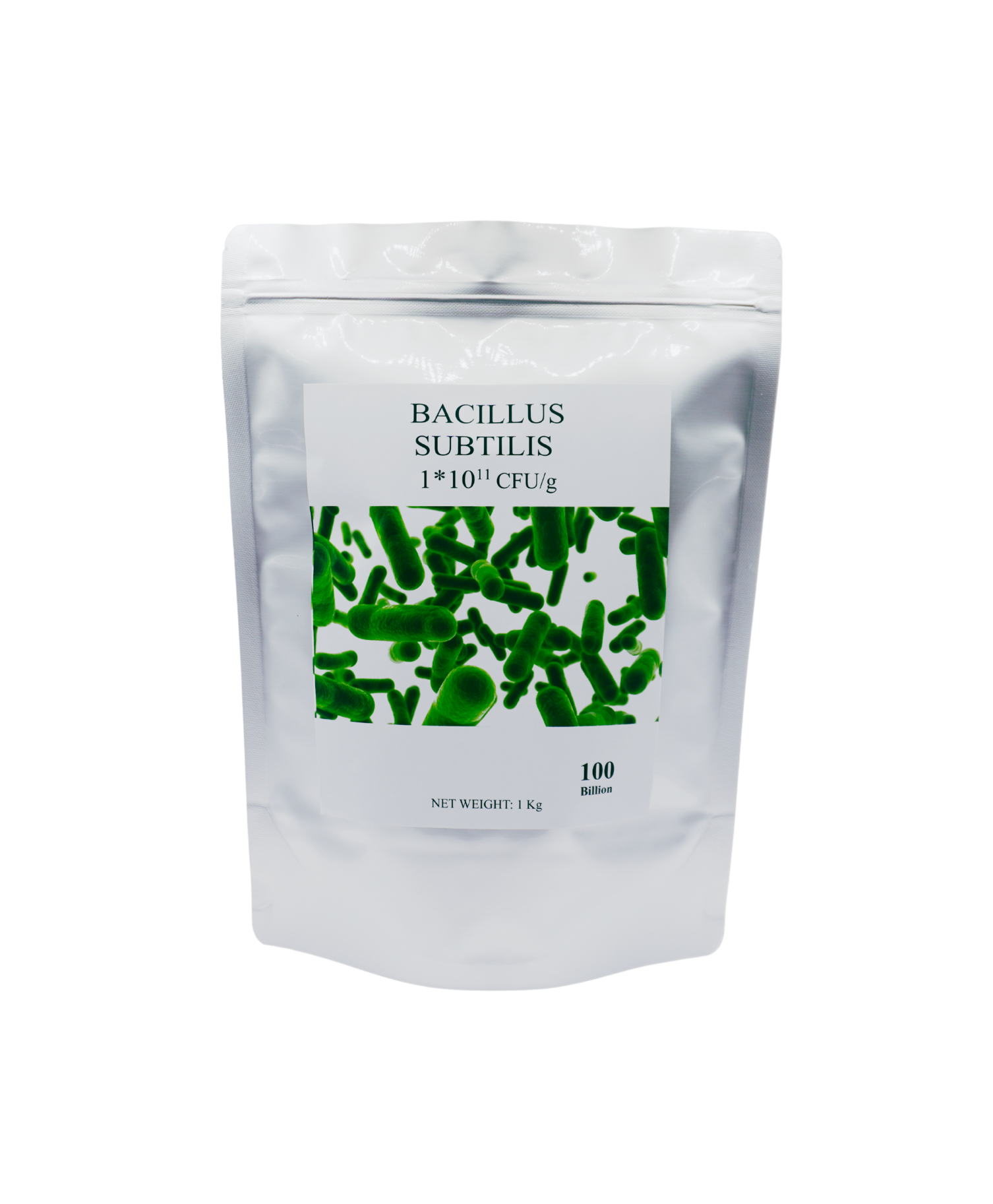 Bacillus Subtilis